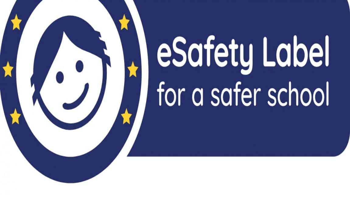 e-Safety Bronze Label